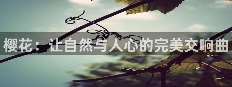 星空影视免费看电视剧大全