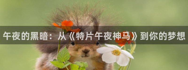 麻豆电影在线观看免费播放电视剧最