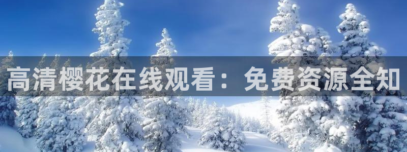 麻豆电影最新电视剧免费观看