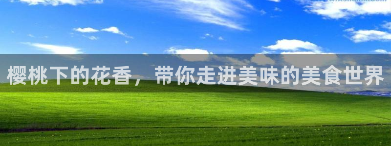 麻豆电影在线观看电视剧最新章节