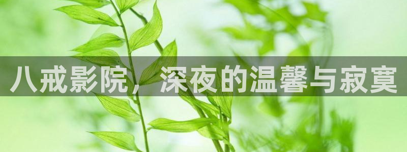 麻豆电影在线观看免费观看电视剧