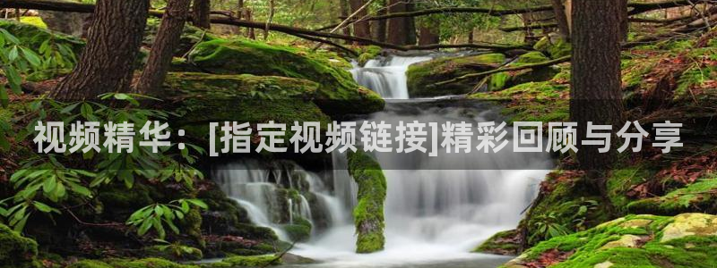 星空视频在线观看免费播放