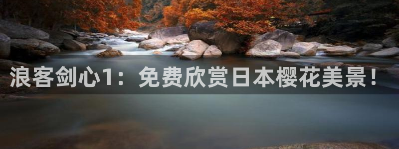 星空视频在线观看免费播放