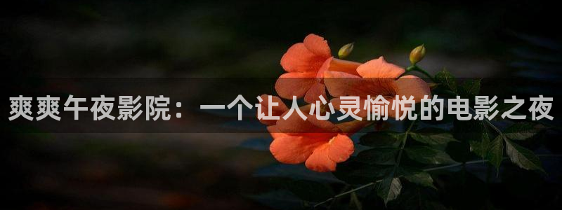 麻豆电影韩国