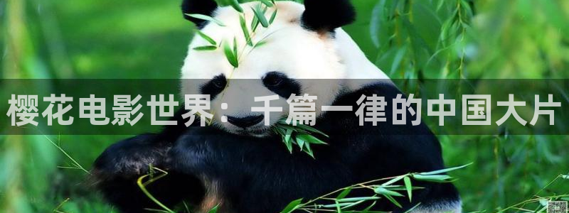 星空影视官网免费进入