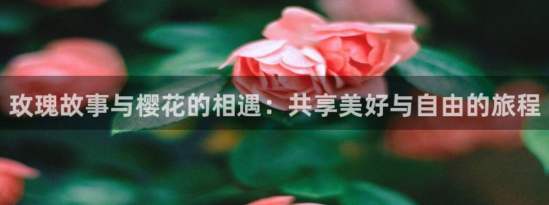 关于星空的