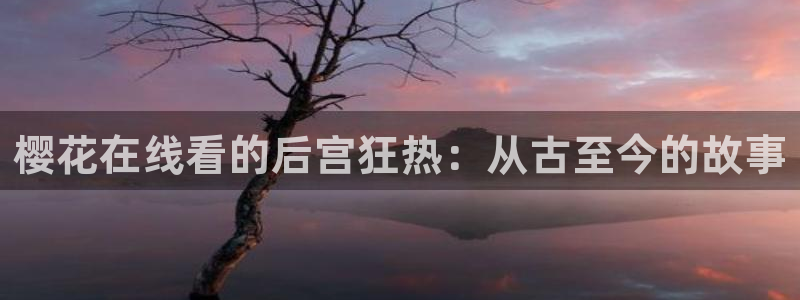 星空国际影院