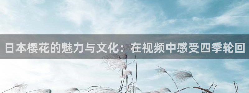沉香如屑电视剧免费麻豆电影
