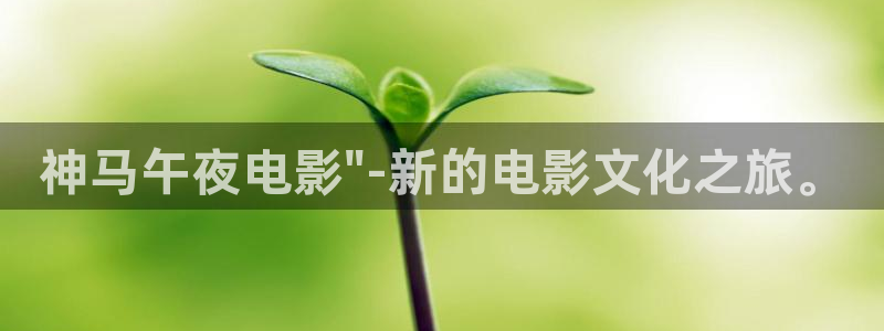 麻豆电影在线