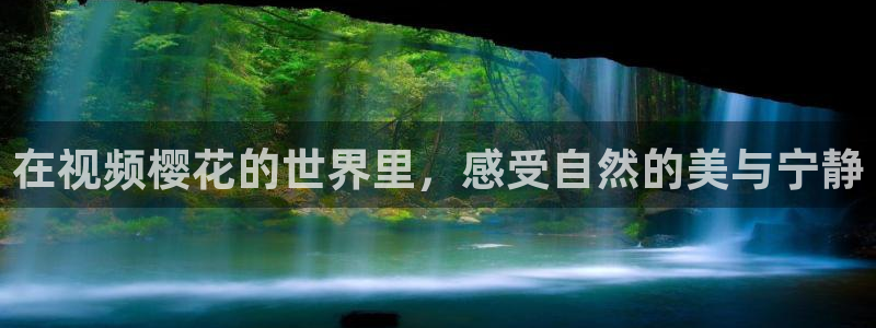 麻豆电影免费看全集
