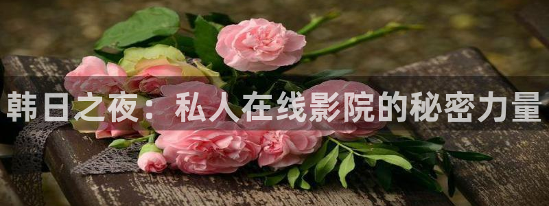 麻豆电影怎么免费看全集