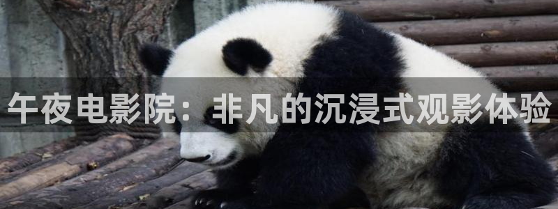 麻豆电影高清版免费观看电视剧