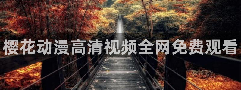 麻豆电影旧版本