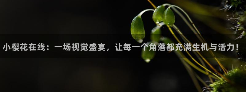 星空主题下载