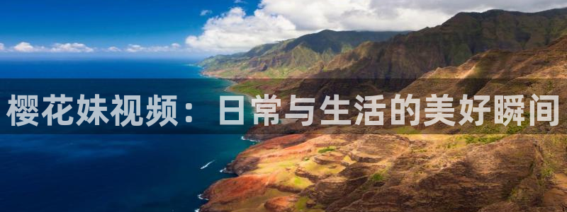 麻豆电影最新免费电影热门