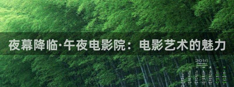 星空影视在线观看全