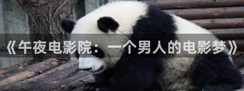 麻豆电影免费看全集