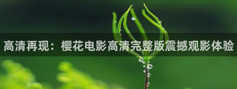星空影城陇海路