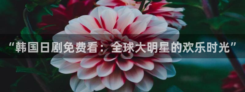 麻豆电影免费观看电视剧最新版