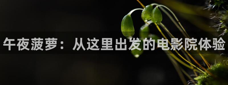 星空无限电影